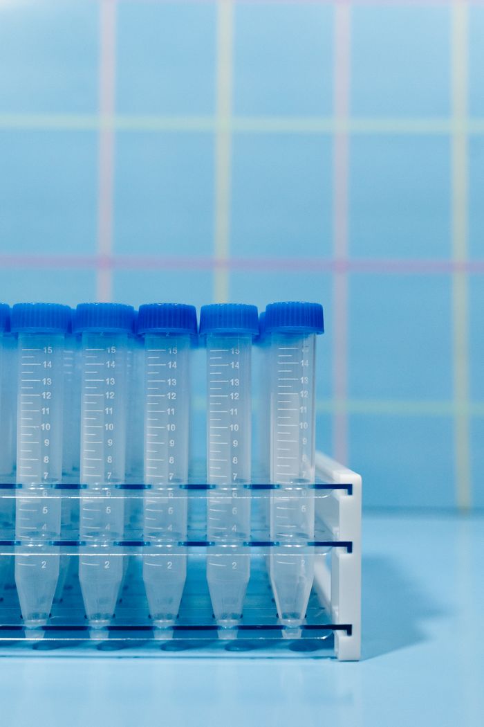 Close-up of laboratory test tubes in a plastic rack with a blue background.