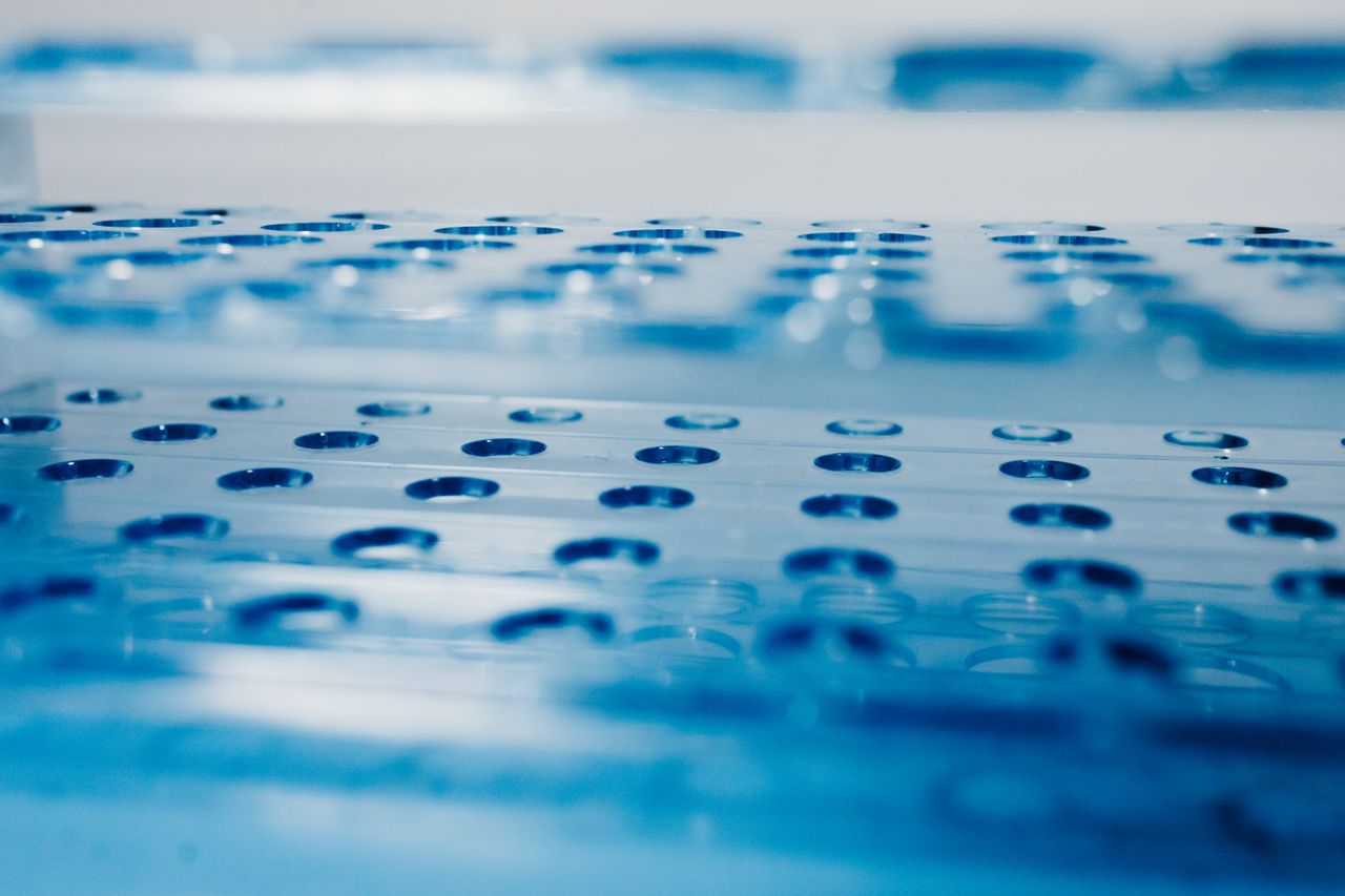 Detailed view of a blue laboratory test tube rack illustrating science and research themes.